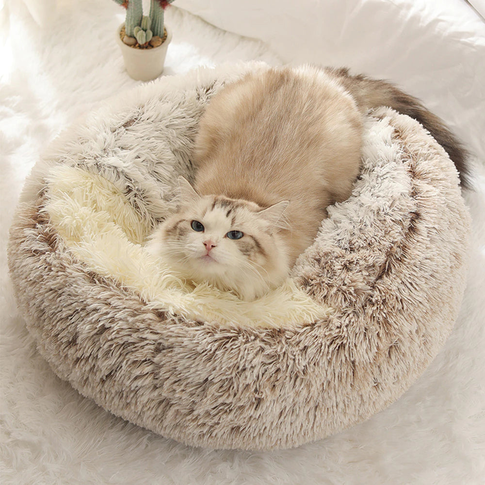 Bed's canopy can flatten cat laying on top of bed