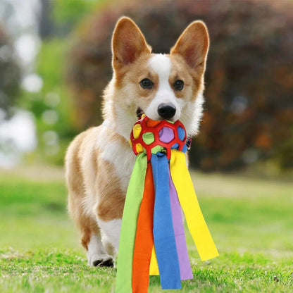 The Treat Tracker Toy