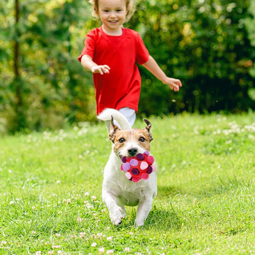 The Treat Tracker Toy